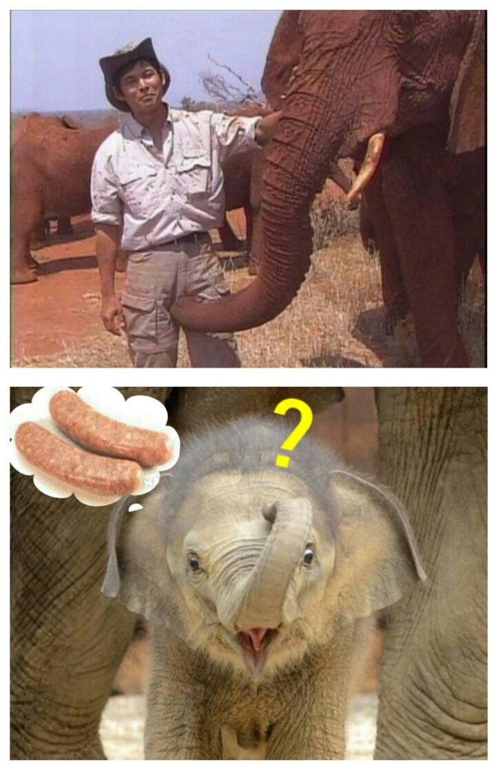모지 이미지