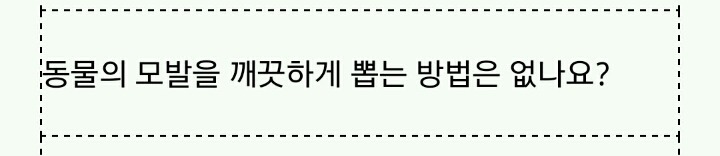 이 지혜주머니가 너무 무서워서 웃을 수가 없어wwww | 인스티즈