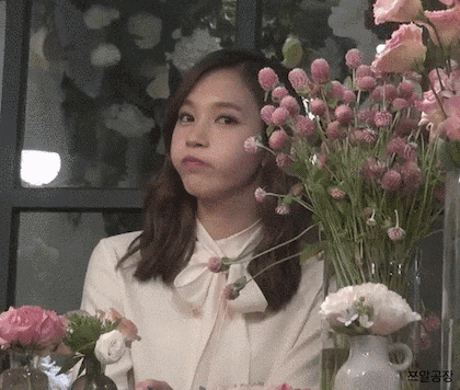 묘이 미나.jpgif | 인스티즈