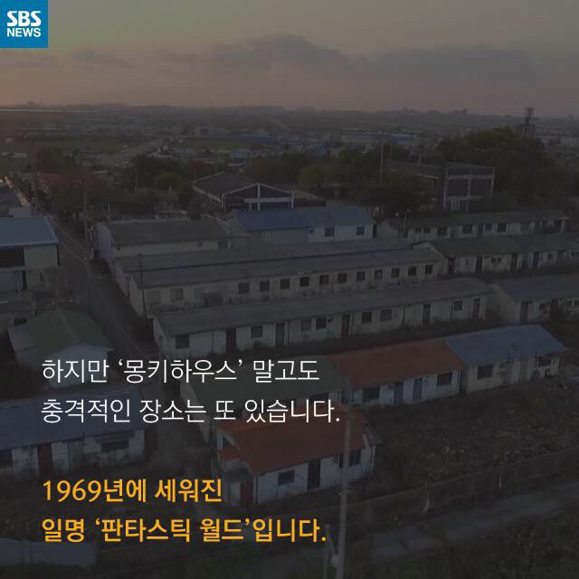 [그것이알고싶다] 우리는 원숭이가 아닙니다 | 인스티즈