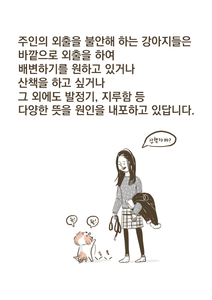 강아지들이 문앞에 앉아있는 이유? (만화) | 인스티즈