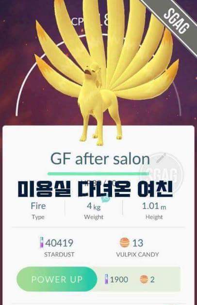 포켓몬고 작명센스 | 인스티즈
