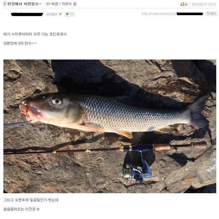 한강에서 낚은 권총.jpg | 인스티즈