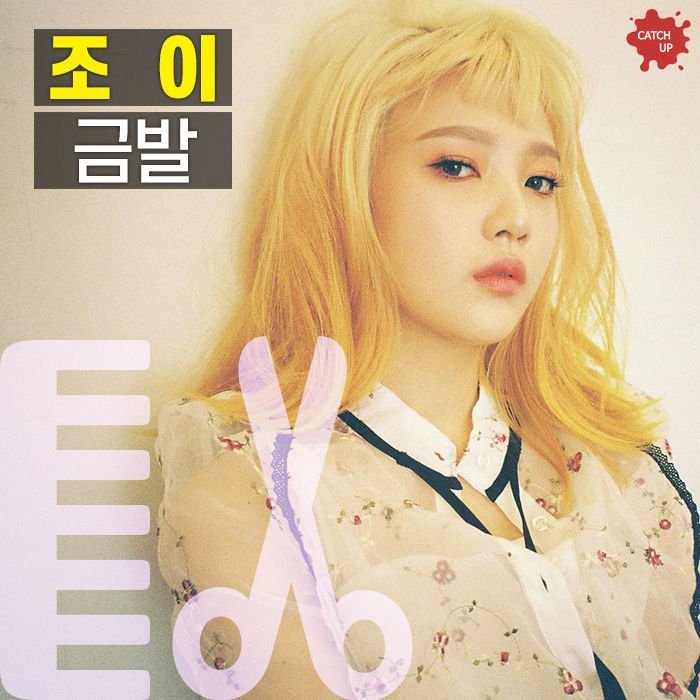 머리 바꾸고 포텐 터진 그녀들.jpg | 인스티즈