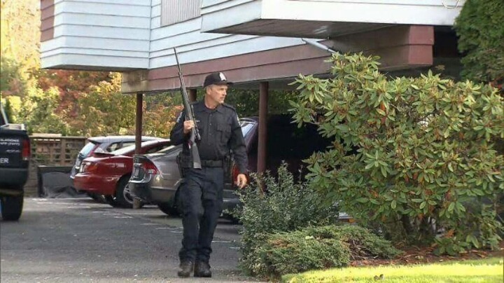 천조국의 흔한 길냥이 | 인스티즈