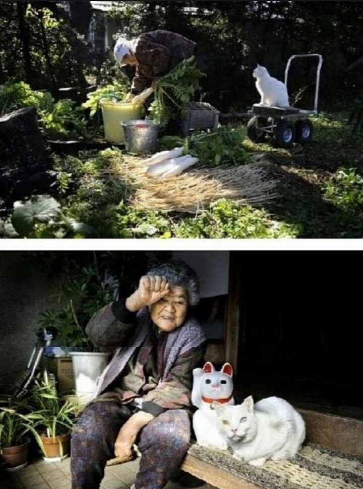 손녀가 찍어준 할머니와 고양이의 동거동락 | 인스티즈