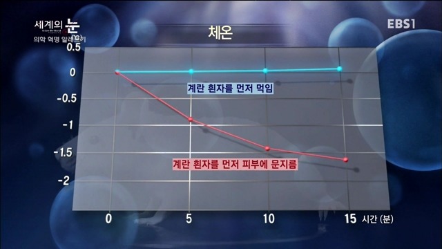 다큐 세계의 눈 - 의학 혁명 알레르기 | 인스티즈