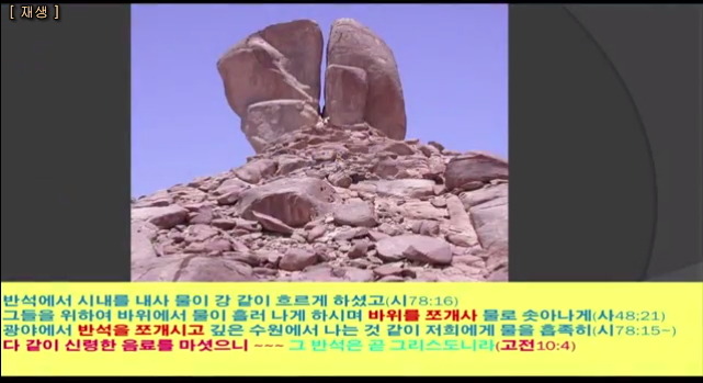 금송아지 이미지