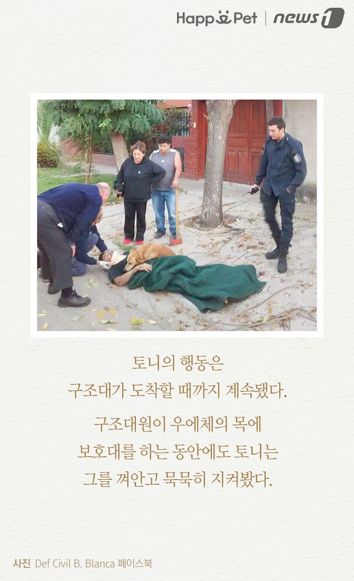 내 주인님 좀 살려주세요ㅜㅜ | 인스티즈