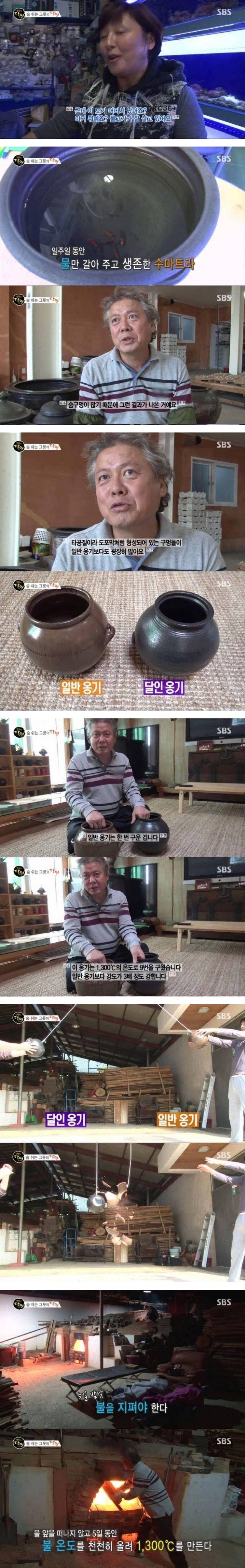 숨쉬는 그릇의 달인 | 인스티즈
