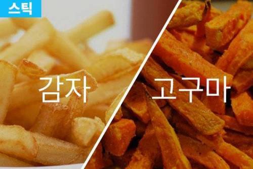 감자vs고구마 세기의 대결! | 인스티즈