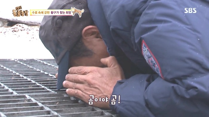 [동물농장] 수로 속에 갇힌 황구가 찾는 희망.JPG (감동주의) | 인스티즈