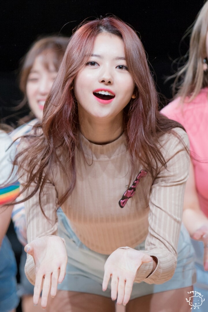 새벽에 보는 우리돌 | 인스티즈