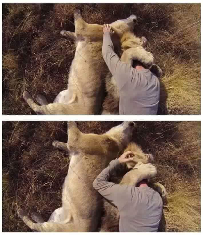 맨몸으로 맹수구역에 들어간 남자 | 인스티즈