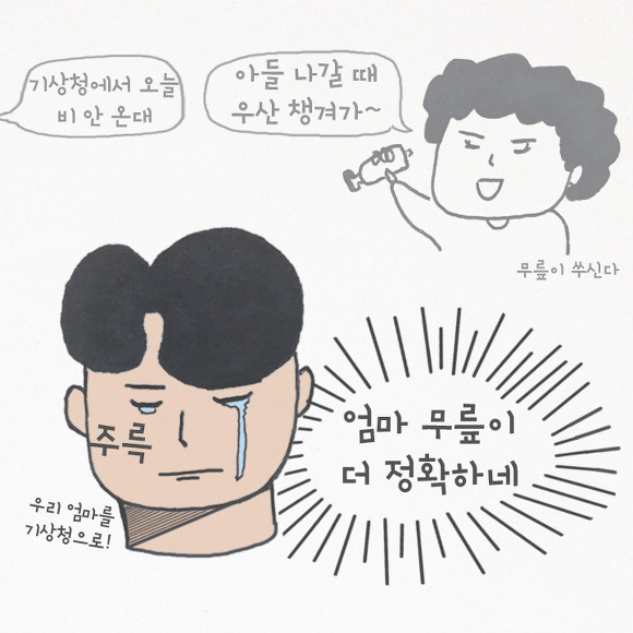 기상청 예보가 자꾸 틀리는 이유 | 인스티즈