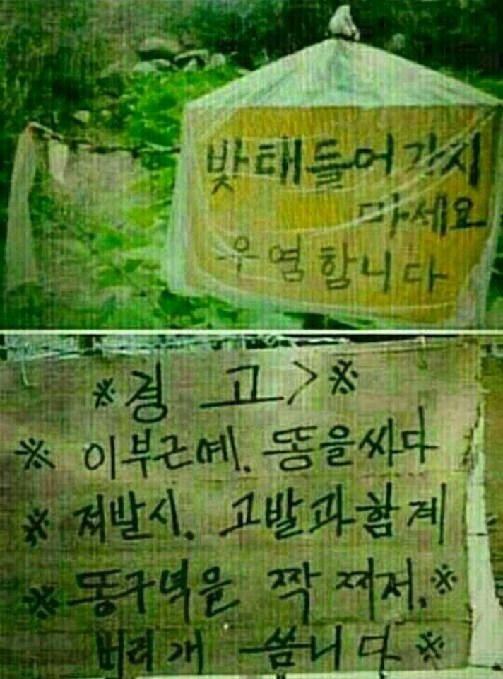 키키키키 이미지