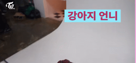 트와이스에서 매니아층이 가장 확실한 듯 한 멤버 | 인스티즈