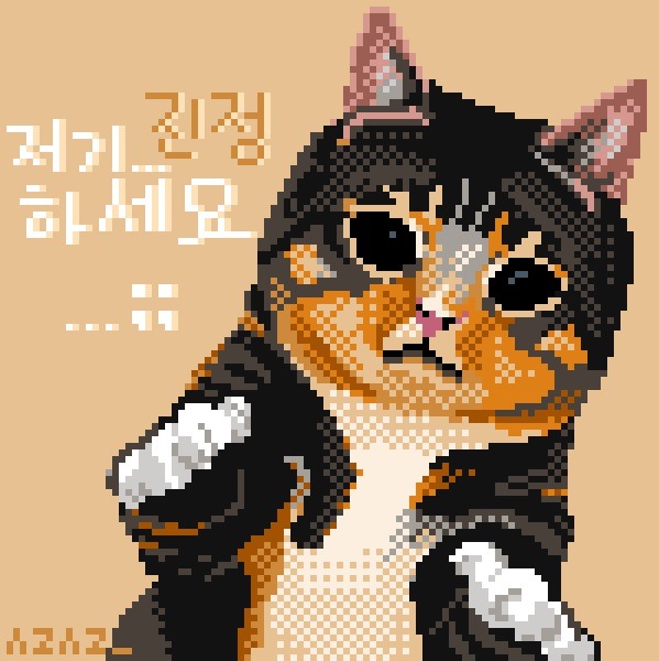 묘성 수준 까발리기 (움짤,데이터도둑) | 인스티즈