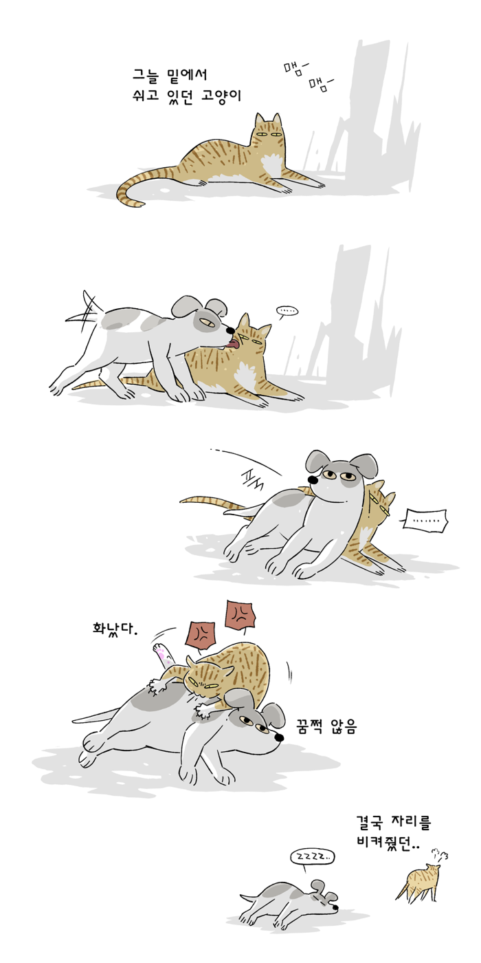 고양이 여덟마리와 살았다 | 인스티즈
