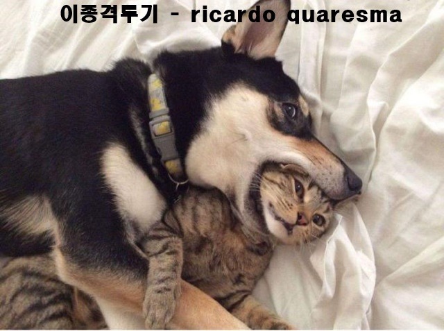 남편에게 아이를 맡기면 안되는 이유.gif | 인스티즈