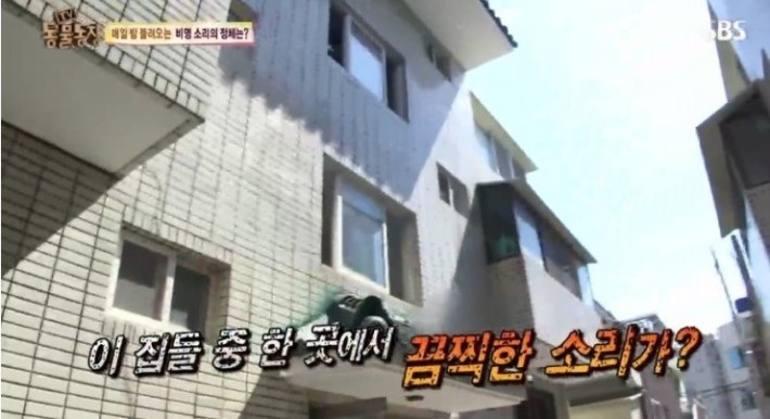 이유없는 강아지 학대 | 인스티즈