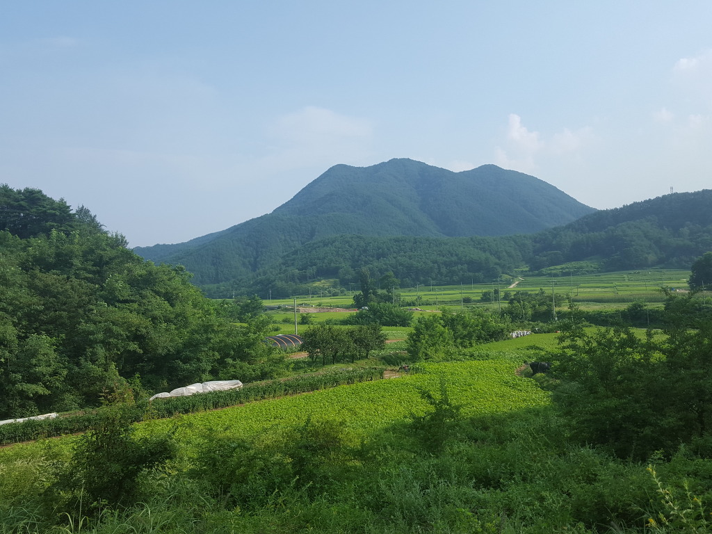 울진후포항 이미지