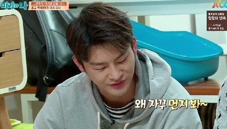 [마리와나] 뚱보냥 호동이 다이어트 시키기 (feat.먼지) | 인스티즈