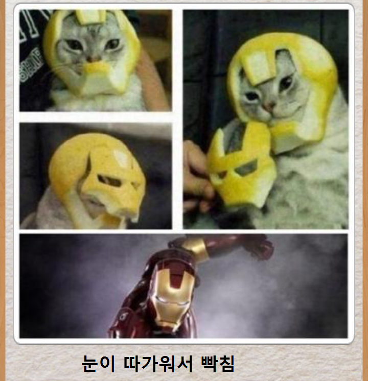 믿고보는 제목학원 | 인스티즈