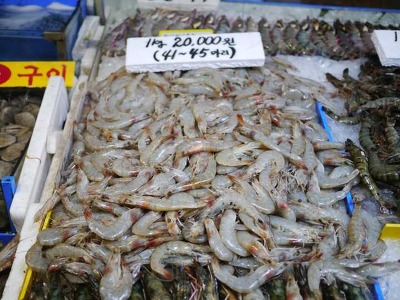 05수산 이미지