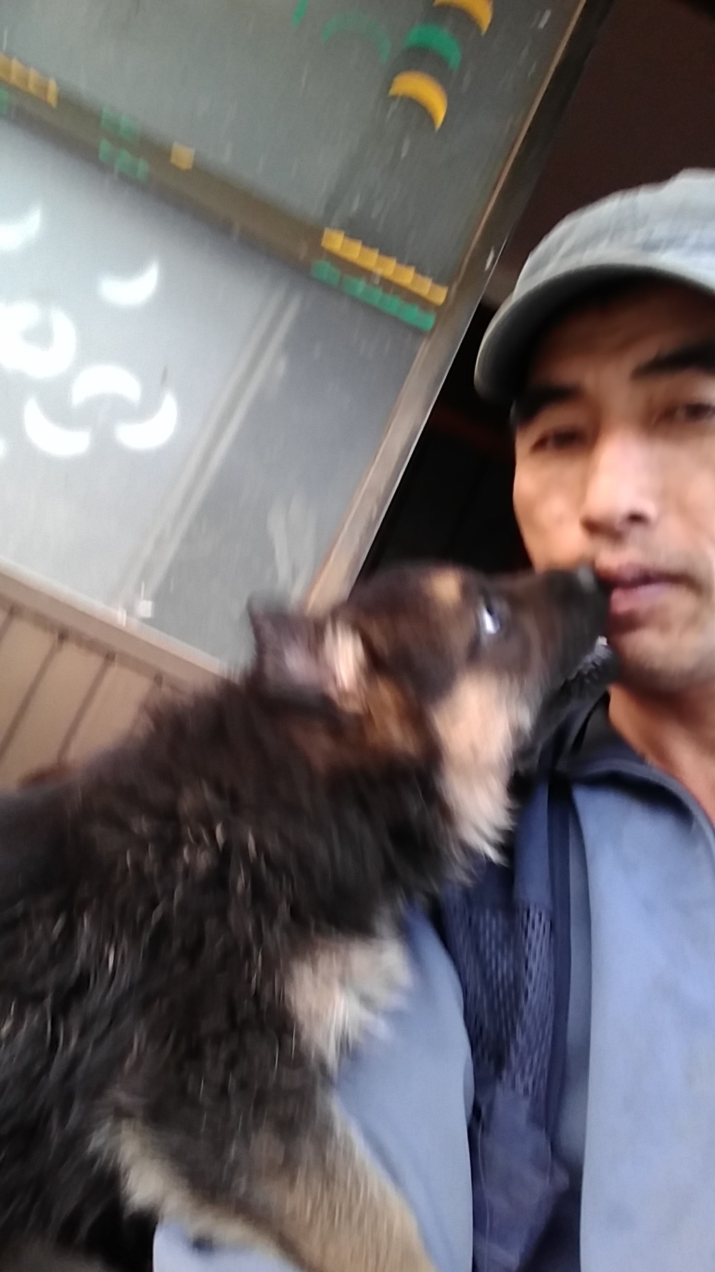 꼬불이네 이미지