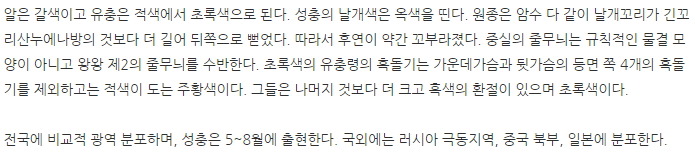 요정으로 불리는 아름다운 곤충.jpg (곤충사진 주의) | 인스티즈