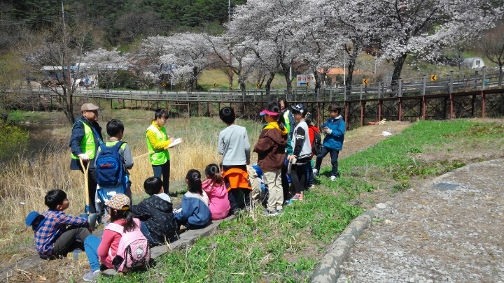 내장초등학교 이미지