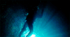 본 시리즈 (gif, | 인스티즈