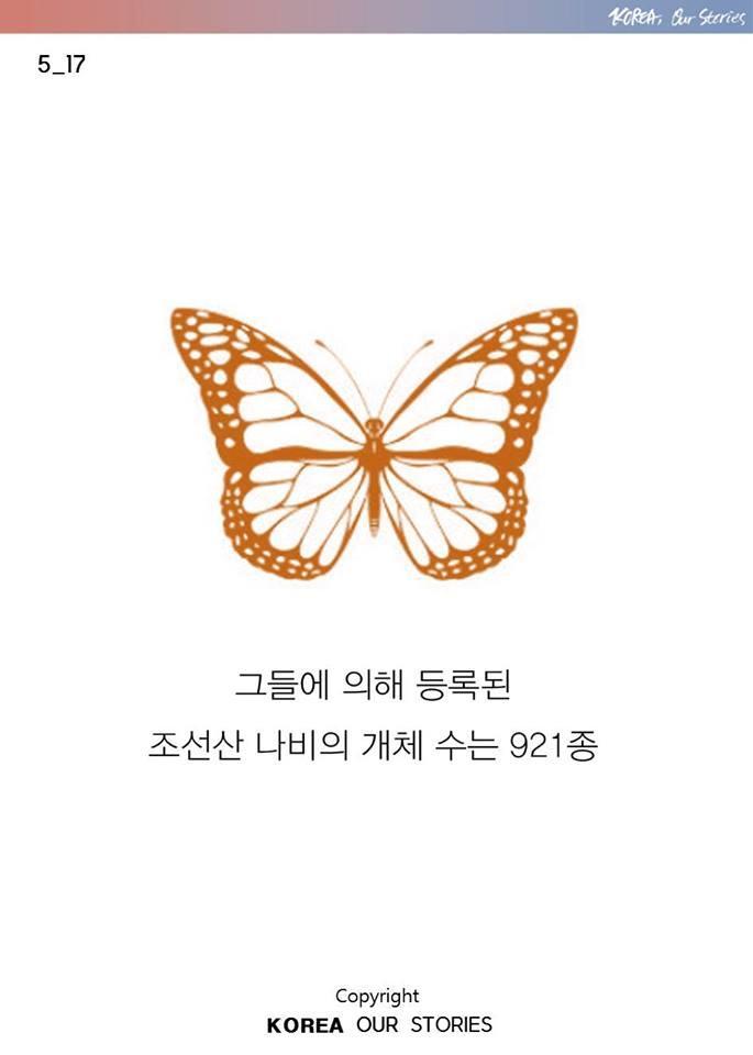 한국에서 나비가 사라졌다 | 인스티즈
