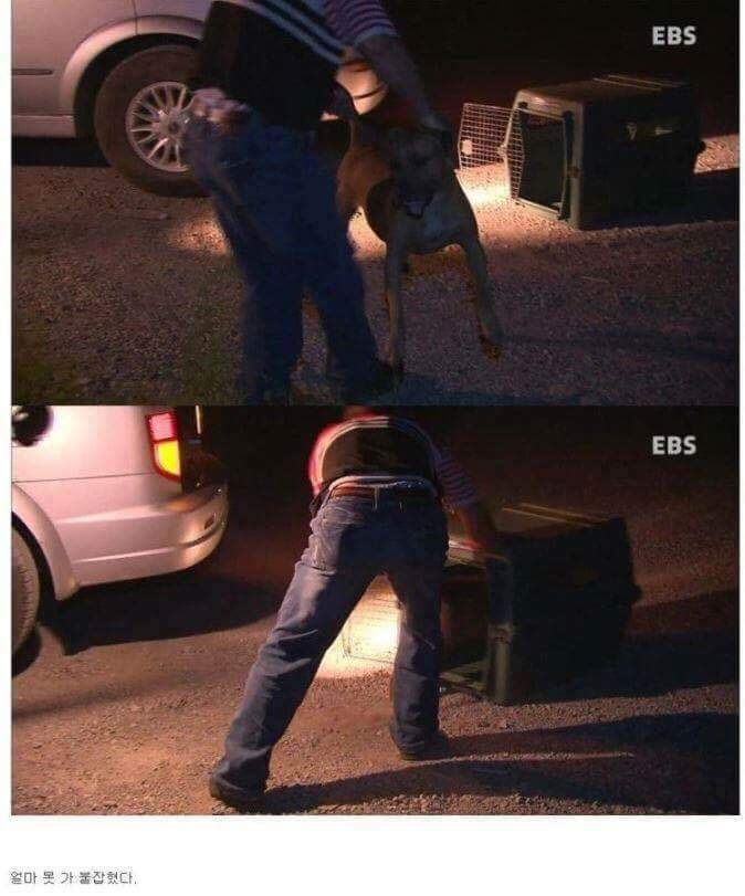 나는 아직 살수 있는데 왜 죽으라하나요 | 인스티즈
