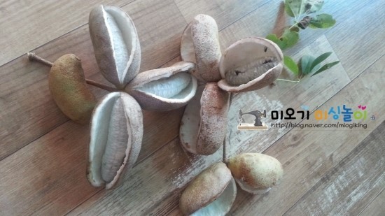 어름 이미지