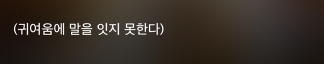 특이한 곳에 털이 자라는 까칠한 매력의 고양이 | 인스티즈