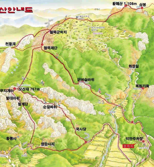 169 이미지