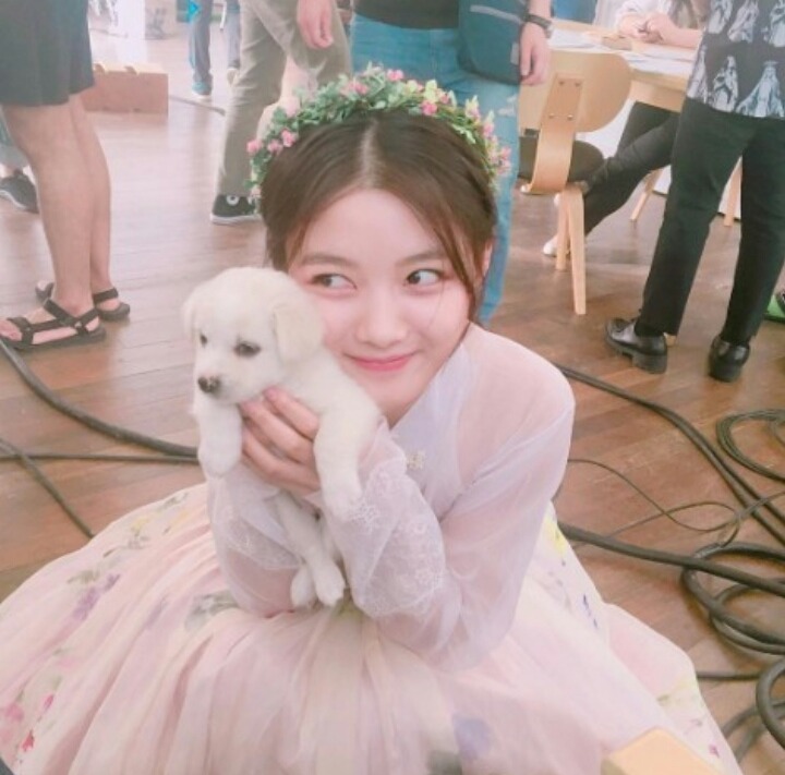 윶 이미지