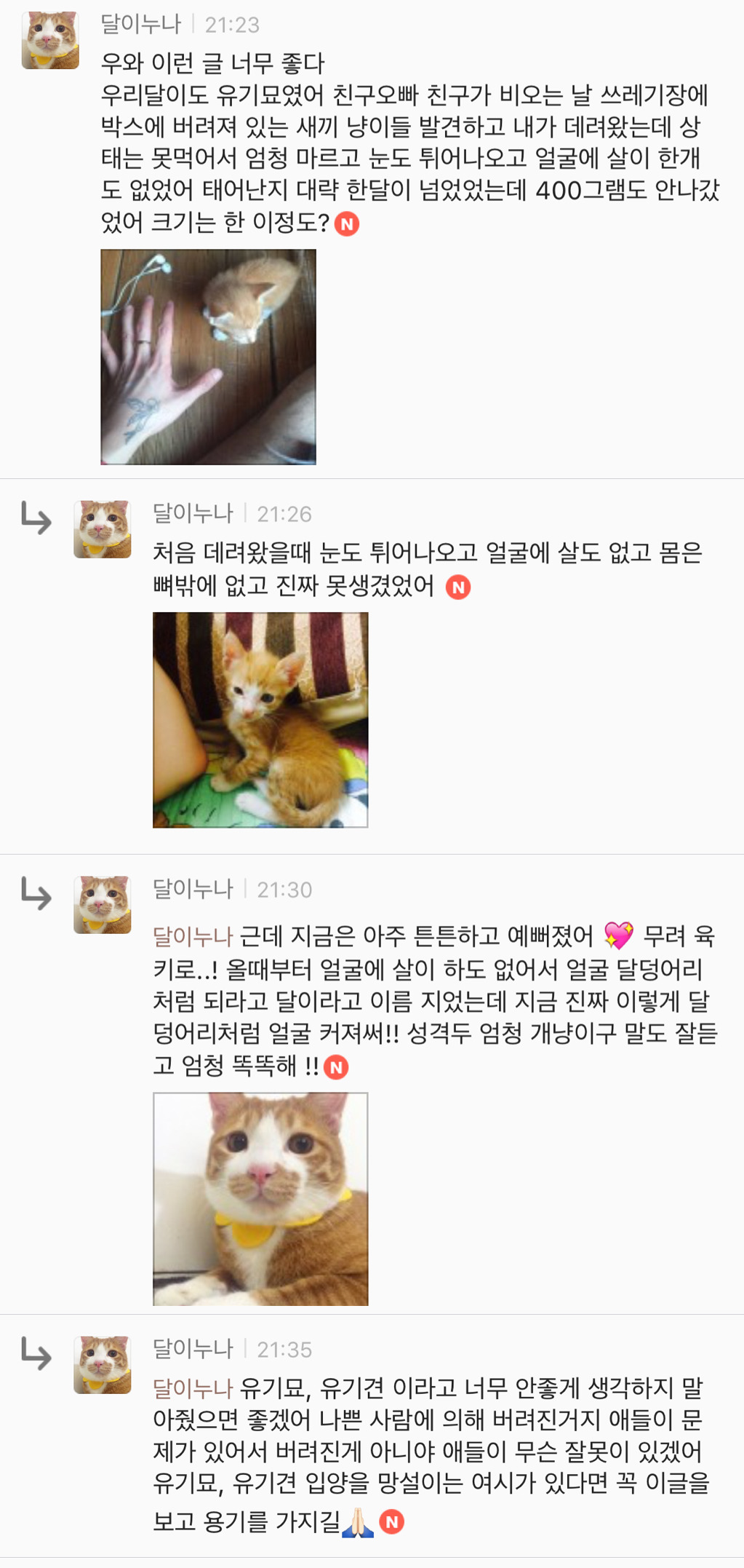 유기견 입양은 좀 꺼려져; 문제가 있어서 버려진 애들 아냐? | 인스티즈