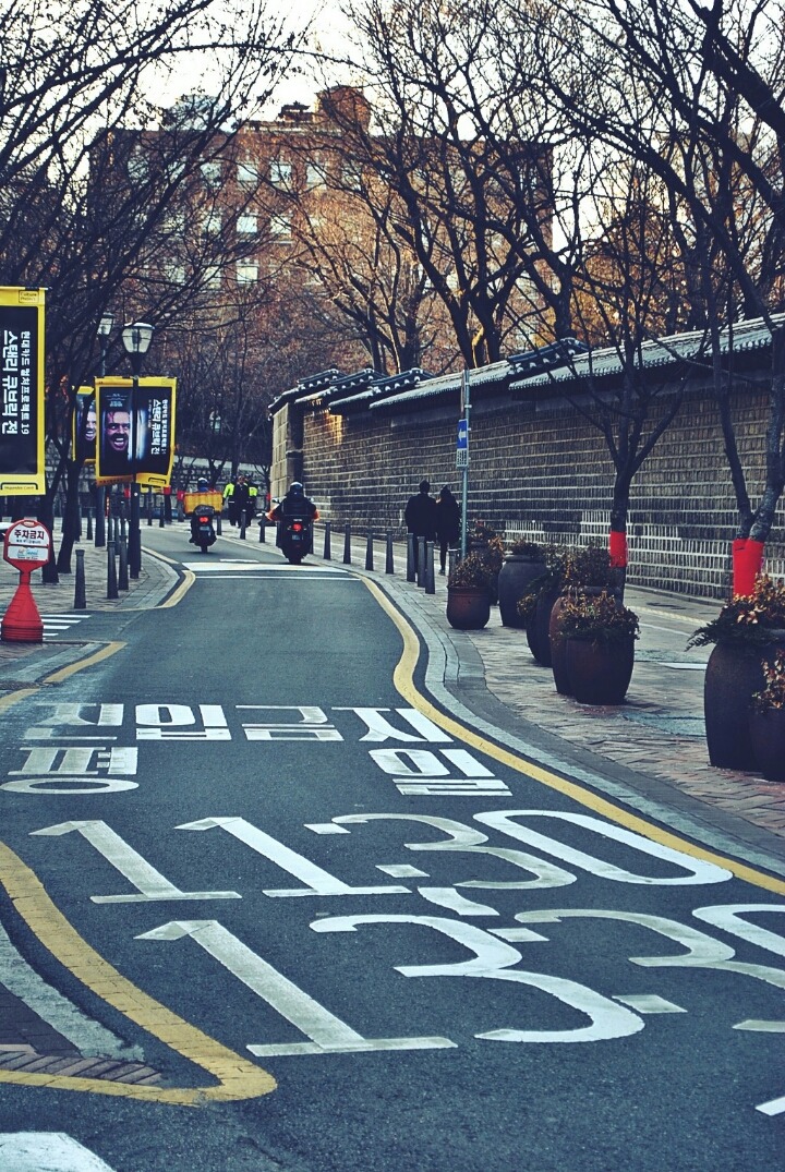 그냥 한번 올려보는 제 DSLR 사진들 | 인스티즈