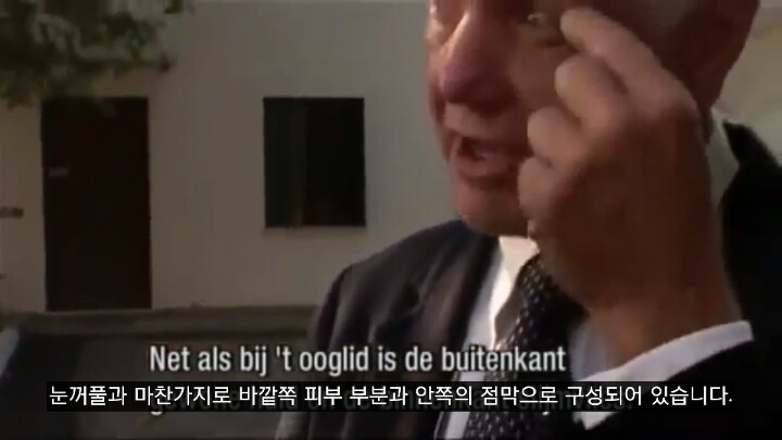 포경수술을 반대하는 의사들이 말하는 포경수술의 진실 | 인스티즈