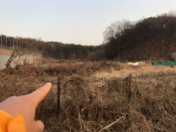 라온향기 이미지
