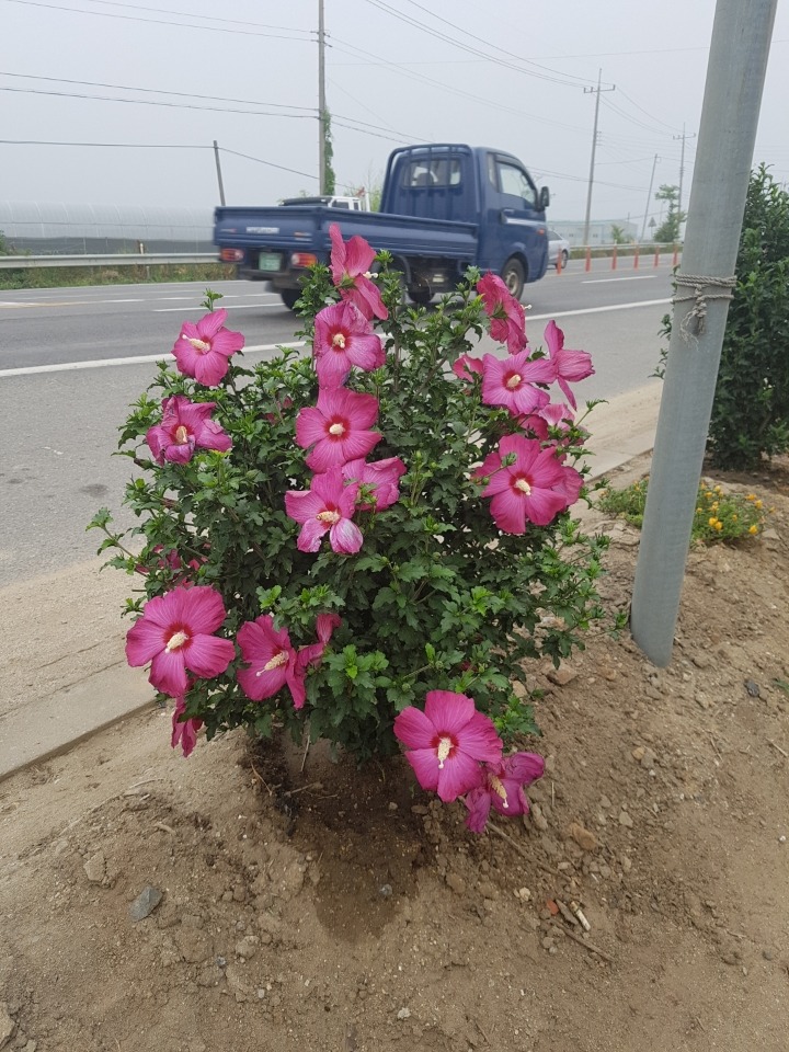 국도주유소 이미지