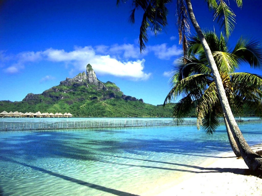 231719465496BFD6141436