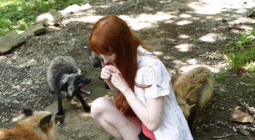 열도의 마을.jpg | 인스티즈