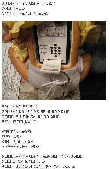 미국 고등학교 필수과제 | 인스티즈