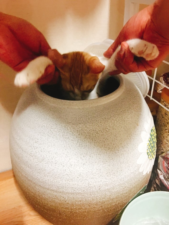 아저씨 이런데서 주무시면 안됩니다 | 인스티즈