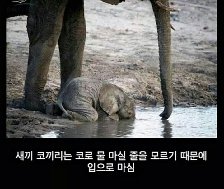 마심 이미지