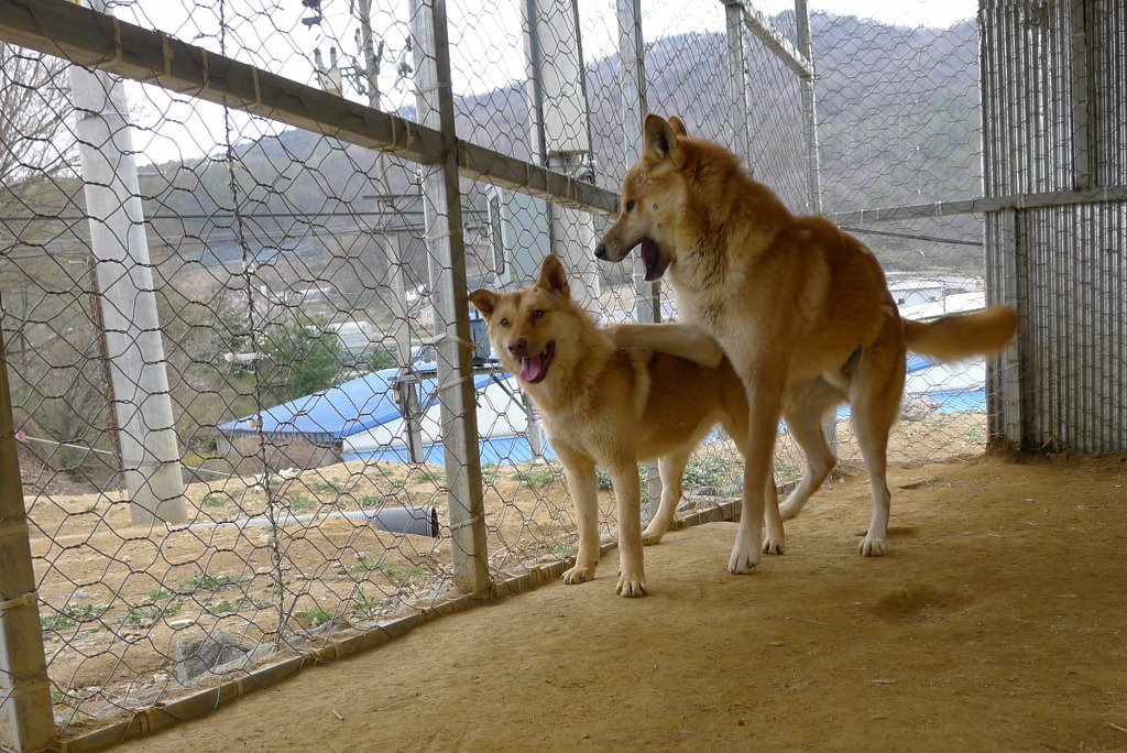 (주)새롬환경 이미지